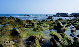 空气是甜的女人现状