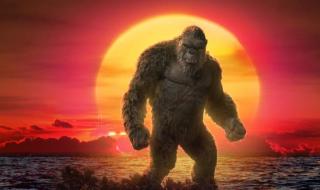 哥斯拉大战金刚抢先看